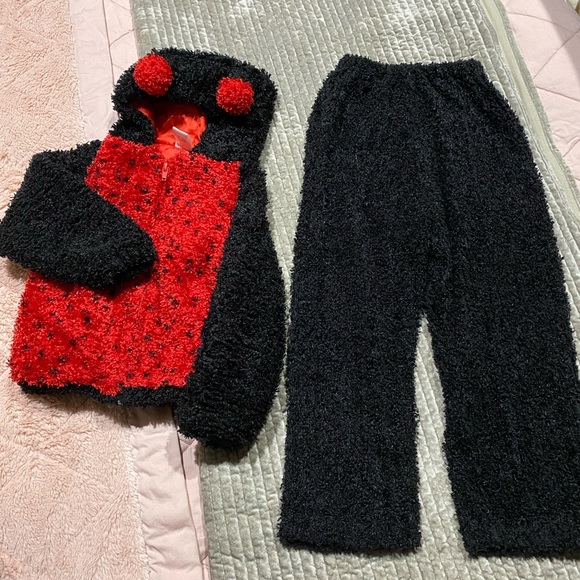 Lady bug costume- 4T -1043 - Picture 1 of 10